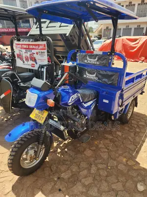 New Tricycle 2025 Blue
