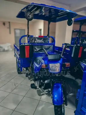 New Tricycle 2025 Blue
