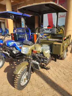 New Tricycle 2025 Blue