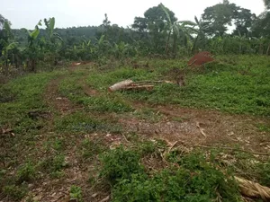 Half Acre on Quick Sale in Heart of Matuga Kilolo Village