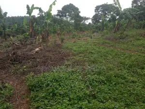 Half Acre on Quick Sale in Heart of Matuga Kilolo Village