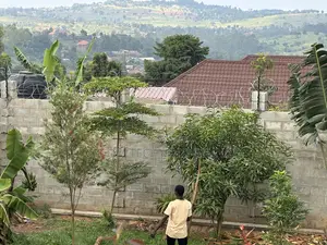 Razor With Electric Fence