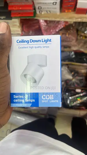 Photo - Ceiling Down Light