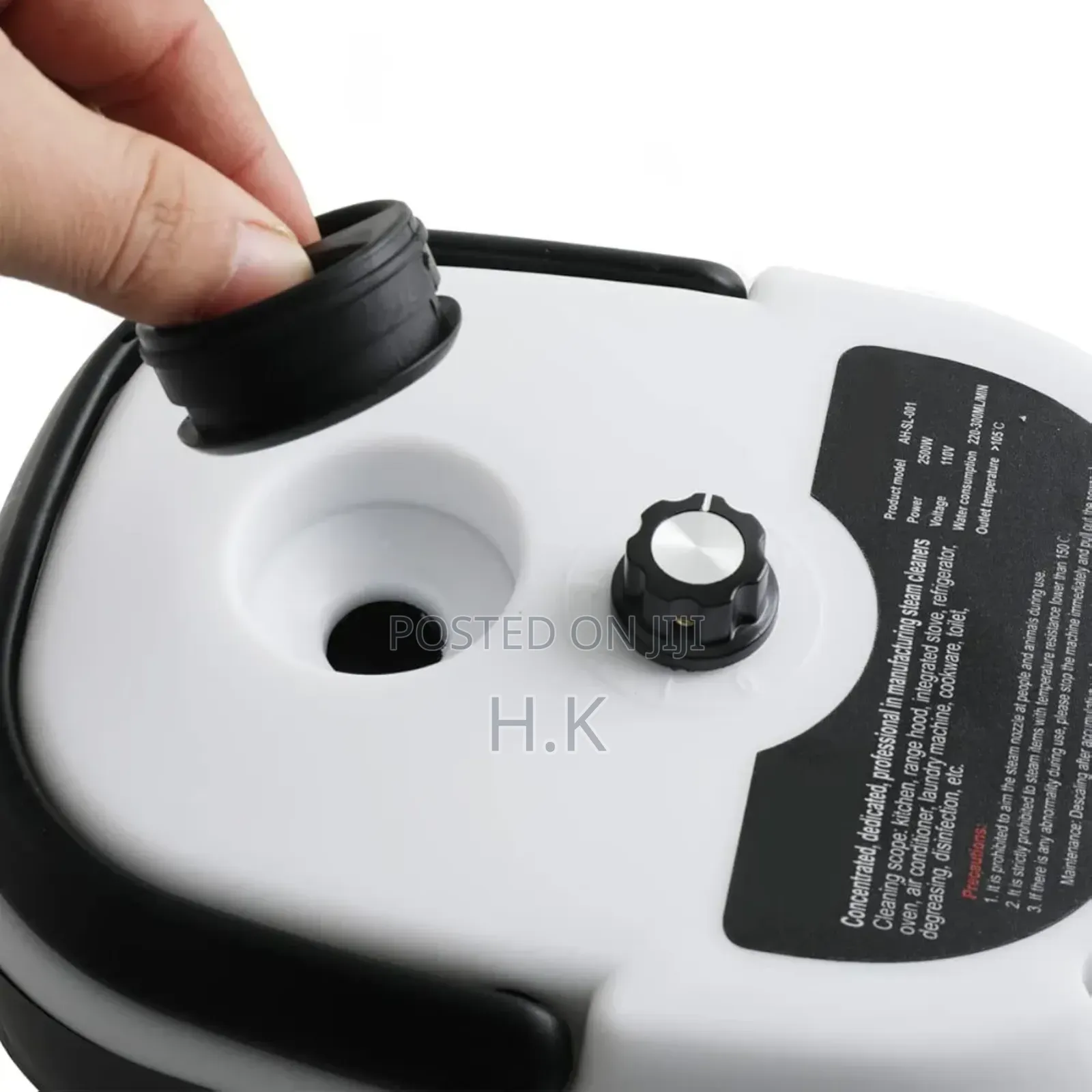 2500w High Pressure Steam Cleaner.