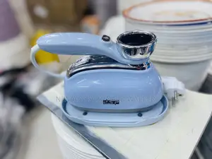 DSP Quality Min Steamer Iron