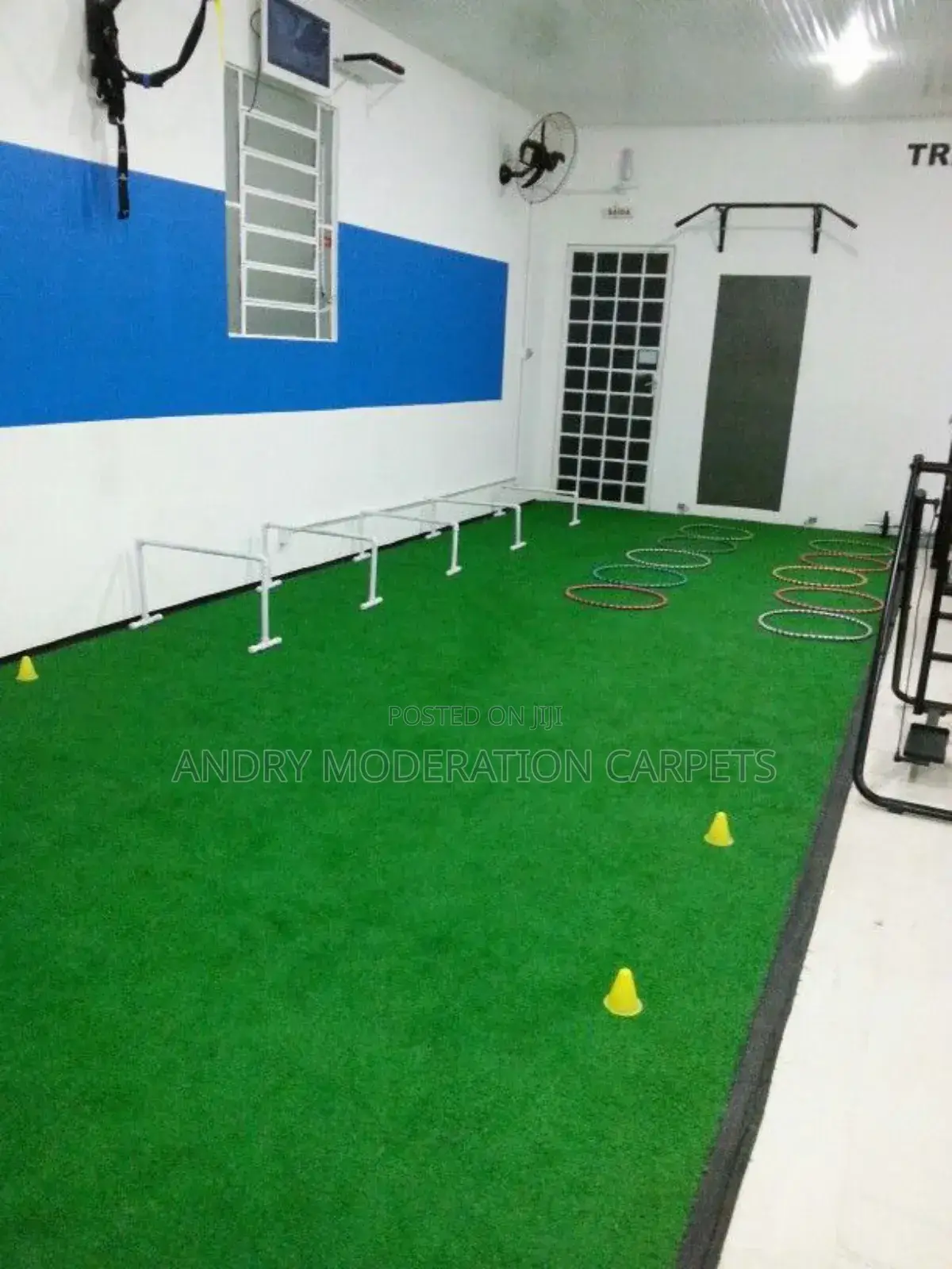 Turf Experts Grass Carpet