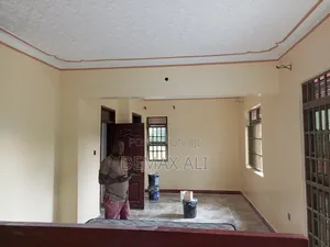 Vynl Silk Paint