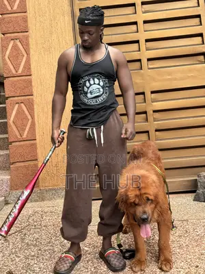 Dog Training