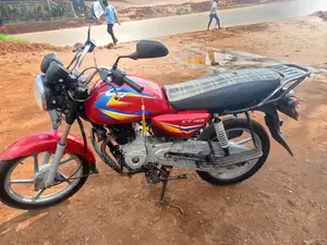 Bajaj Boxer 125 2023 Green