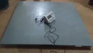 Commercial Weigh 3000kg Weighing Scales Floor Weighing Scale,