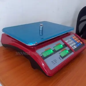 Top Hot Weighing Scale High Precision Weigh 40kg Weighing Scales