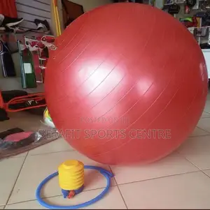 Yaga Ball With Pump