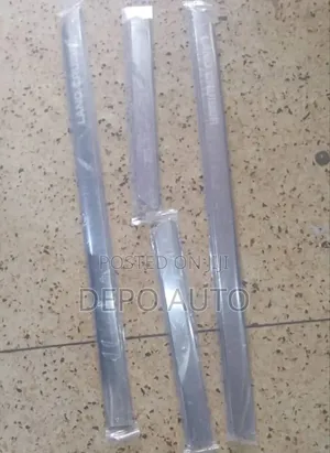 L/,C 300 Door Body Chrome Mouldings