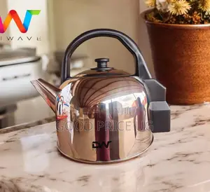 5 Litres Dw Stainless Steel Kettle