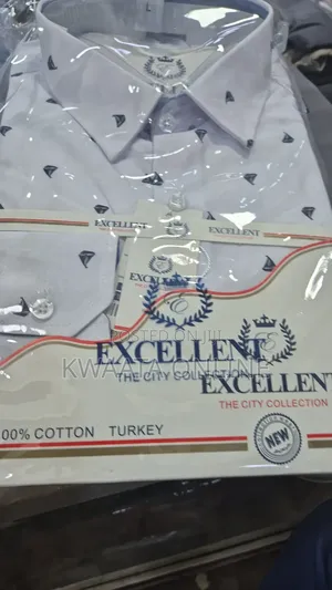Excellent Long-Sleeve Button-Down Dress Shirt