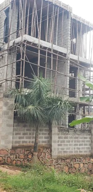 Expert Constructs