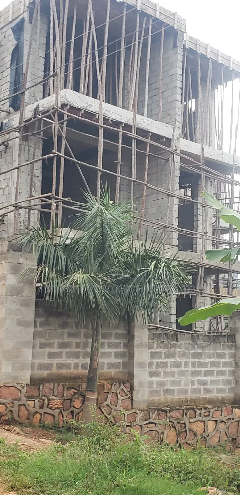 Expert Constructs