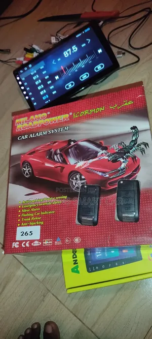 Car Alarm Systems