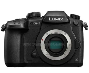 Panasonic Lumix Gh5 Mirrorless Camera