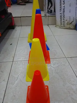 Training Cane