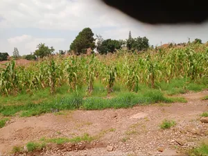 Plots for Sale Located at Bweyogerere Kiwanga
