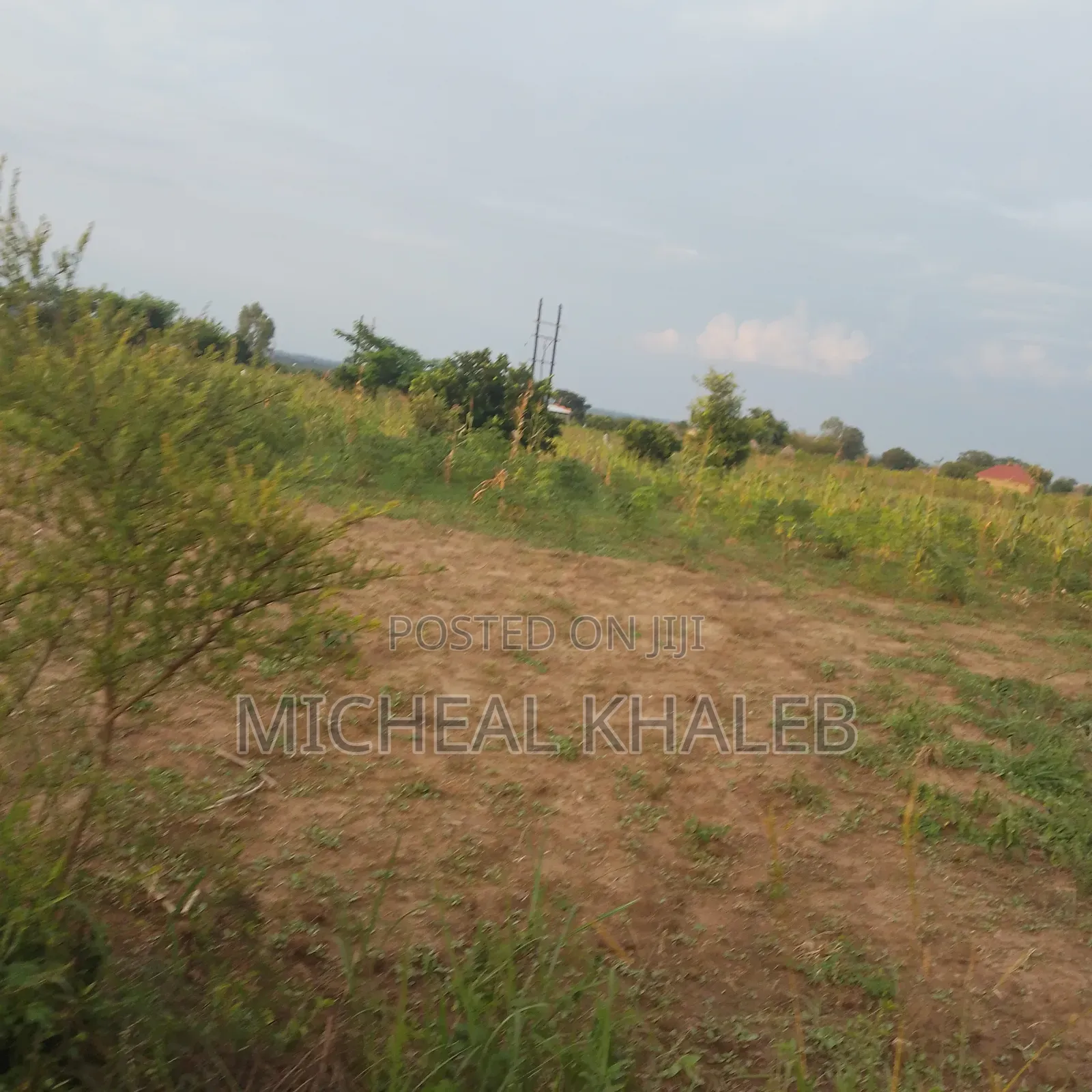 Land On Sale