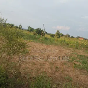 Land On Sale