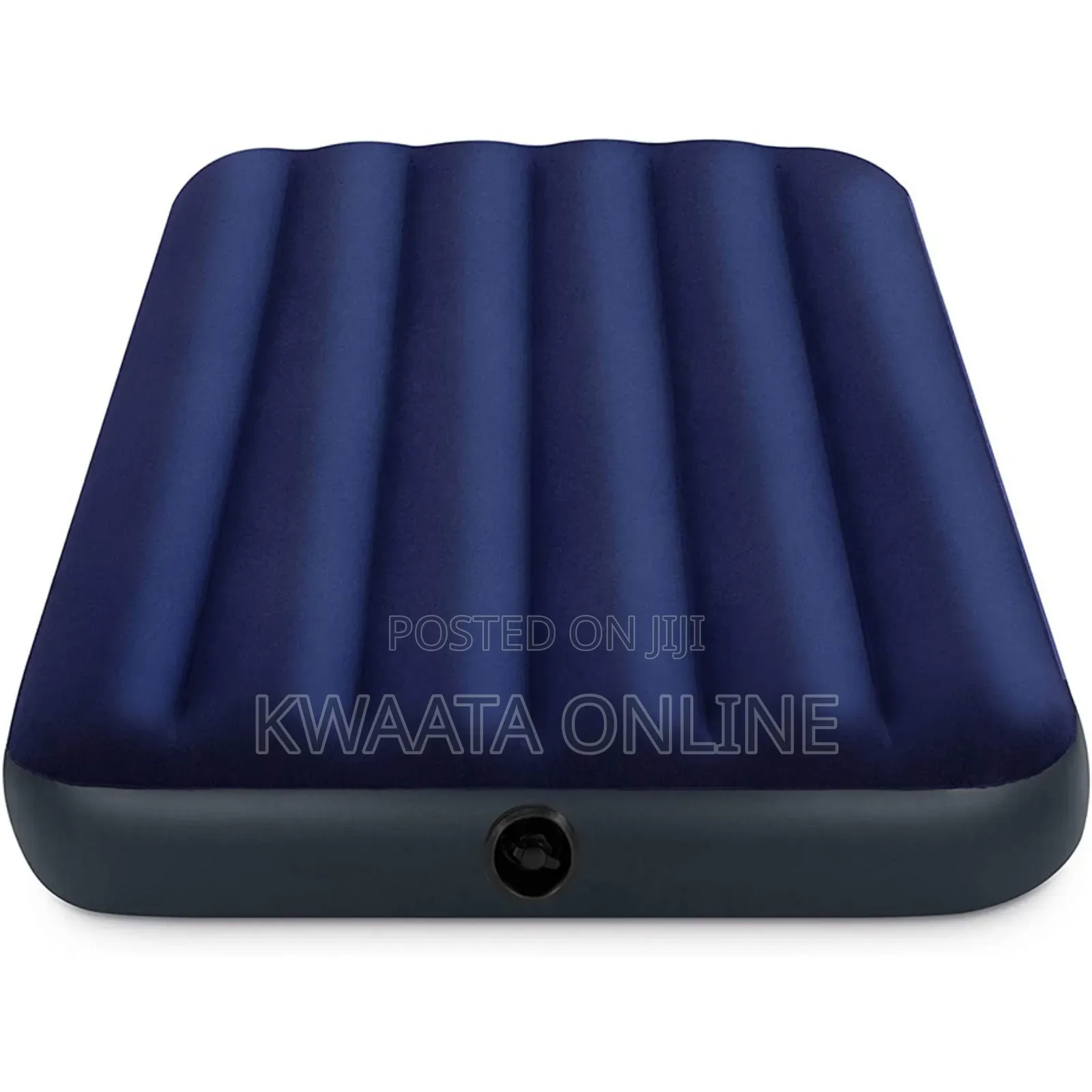 (4x6)Intex Inflatable Air Mattress 10inch With Pump