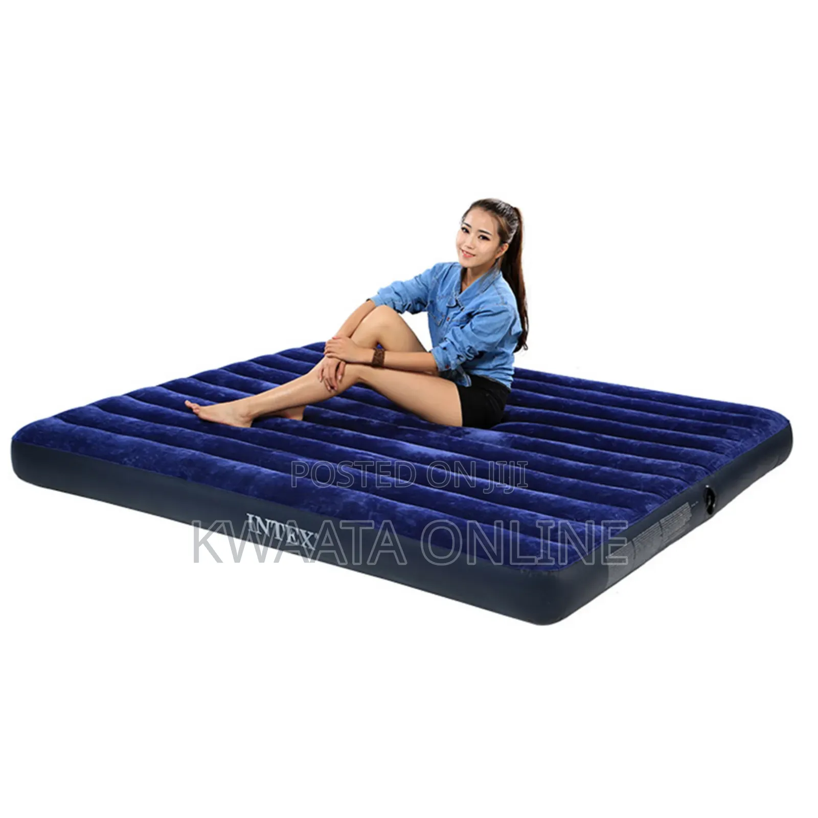 (4x6)Intex Inflatable Air Mattress 10inch With Pump