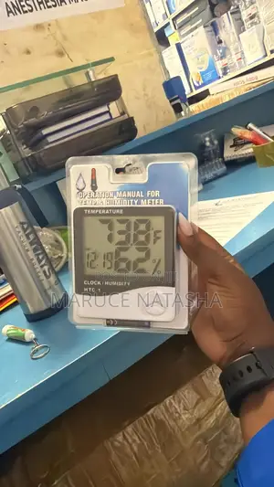 Wall Thermometer