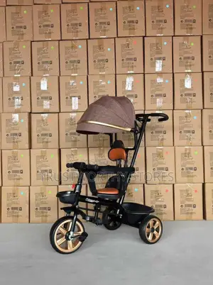 Umbrella Push Tricycle - (1-5)Years