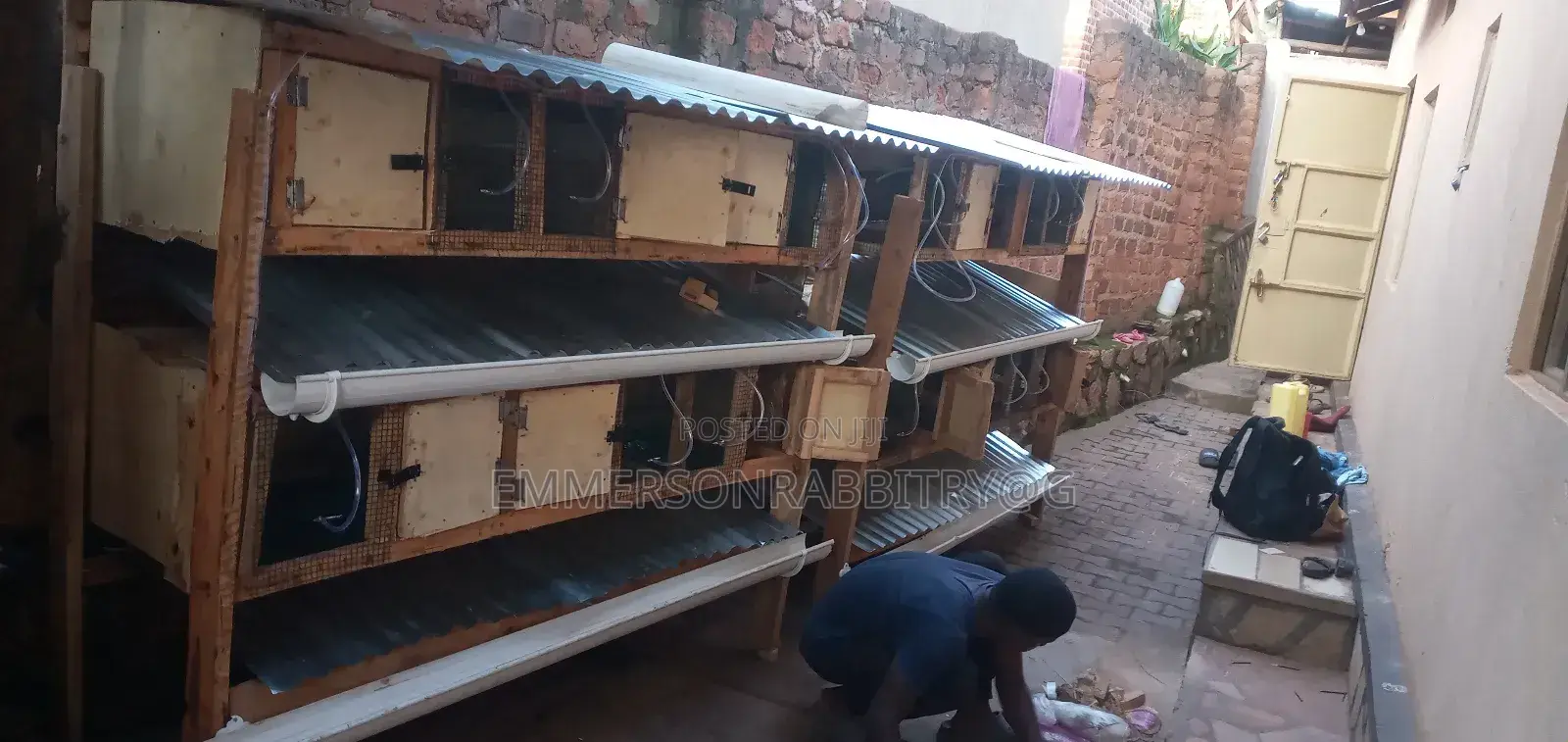 Rabbits Hatch Constration