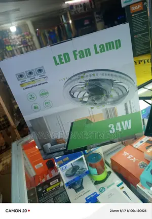 Ceiling Fan With Lights. Led Fan Lamp