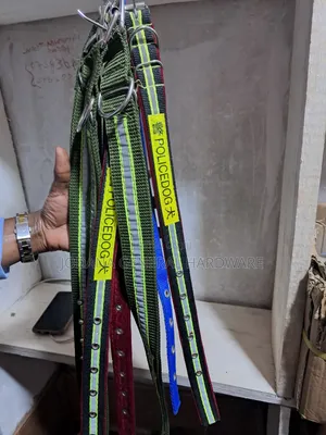 Strong and Comfy Dog Belts