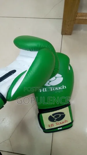 Hi Touch Fighting Gloves