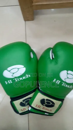 Hi Touch Fighting Gloves