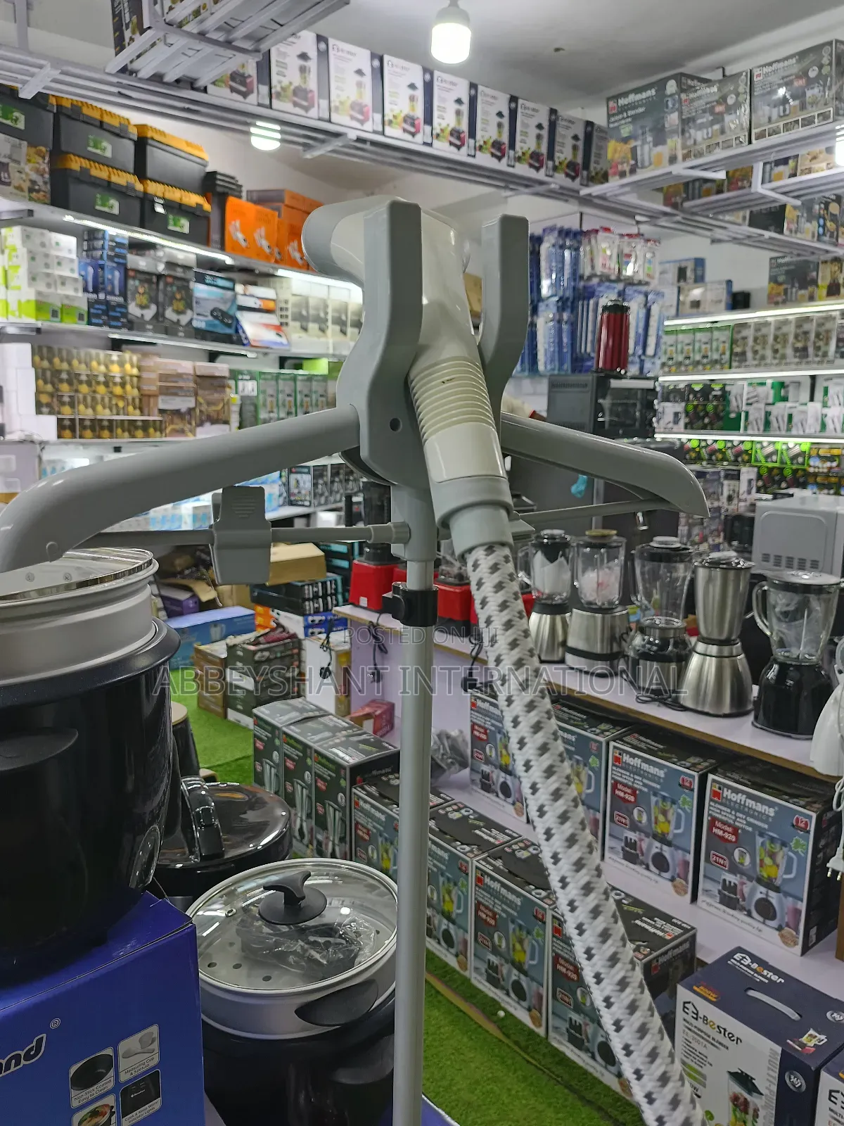 Heavy Duty Garment Steamer/Raf Garment Steamer