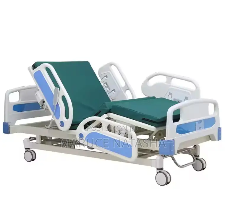 Multi Function Electric Patient Bed