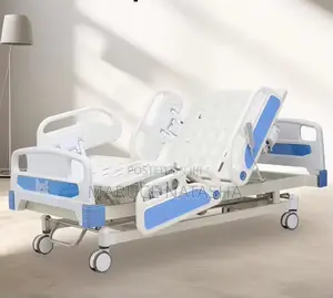 Multi Function Electric Patient Bed