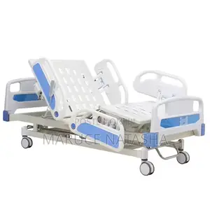 Multi Function Electric Patient Bed