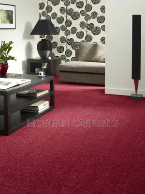 Wall to Wall Home Soft Carpets