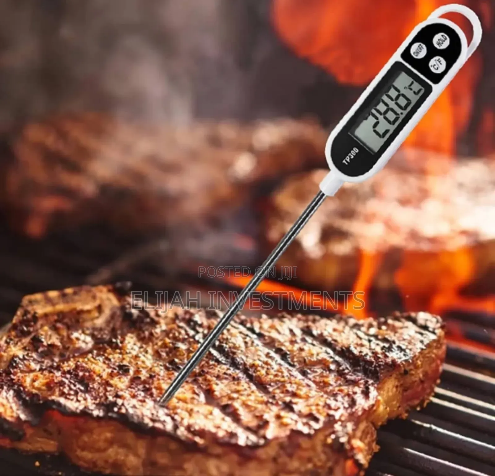Food Temperature Meter