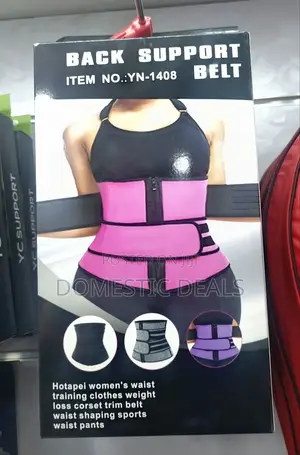 Back Support Belt