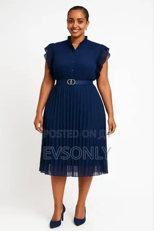 Chiffon Pleated Dress
