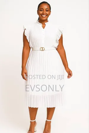 Chiffon Pleated Dress