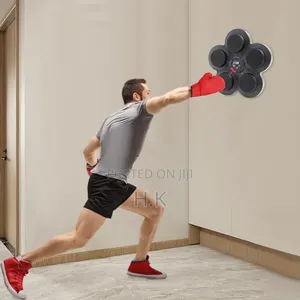Intelligent Music Boxing Target