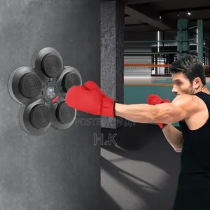 Intelligent Music Boxing Target
