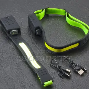 Induction Head Lamp
