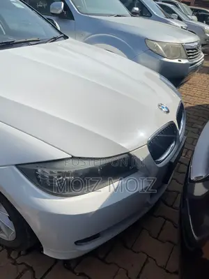 Photo - BMW 320i 2011 White