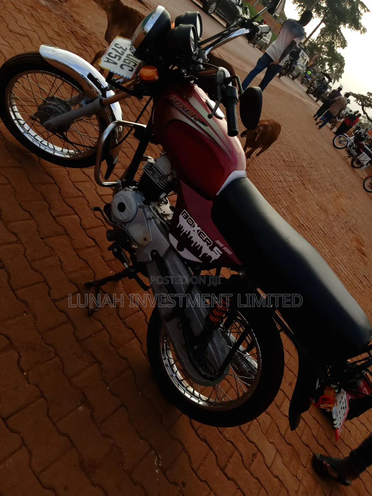 Bajaj Boxer 100 2024 Red
